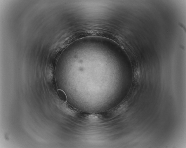 X0000103140566200808221218