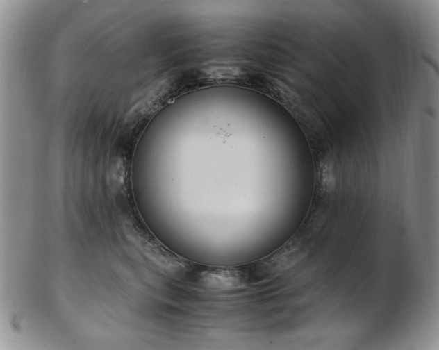 X0000103140567200808221218