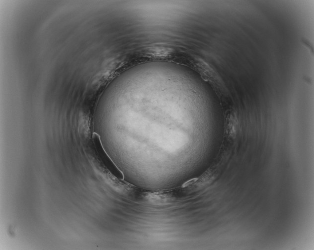 X0000103140568200808221218