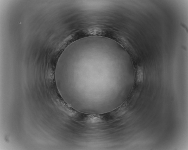 X0000103140569200808221219