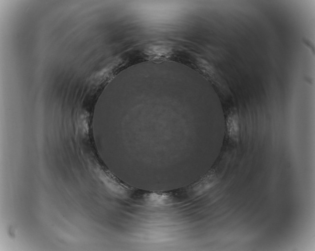 X0000103140570200808221219