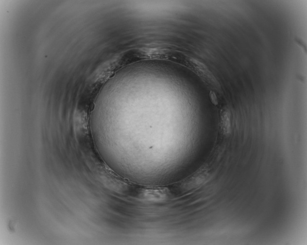 X0000103140571200808221219