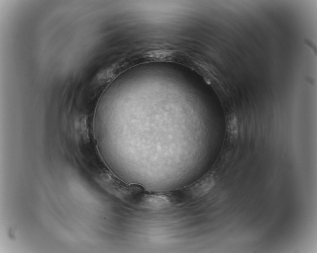 X0000103140572200808221219