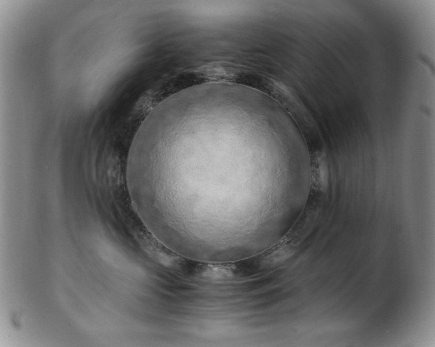 X0000103140573200808221219