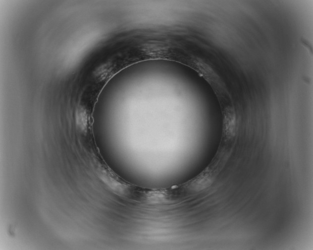 X0000103140574200808221219