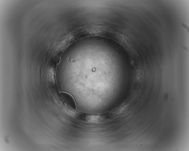 X0000103140575200808221219