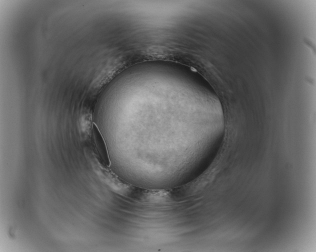 X0000103140576200808221219