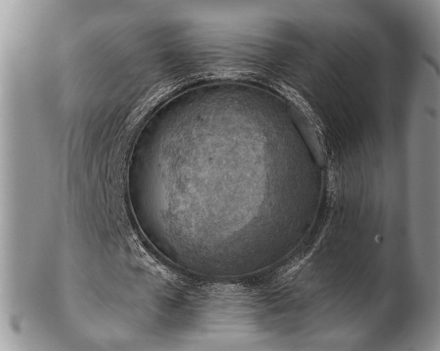 X0000103140577200808221218