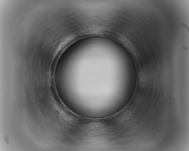 X0000103140578200808221218