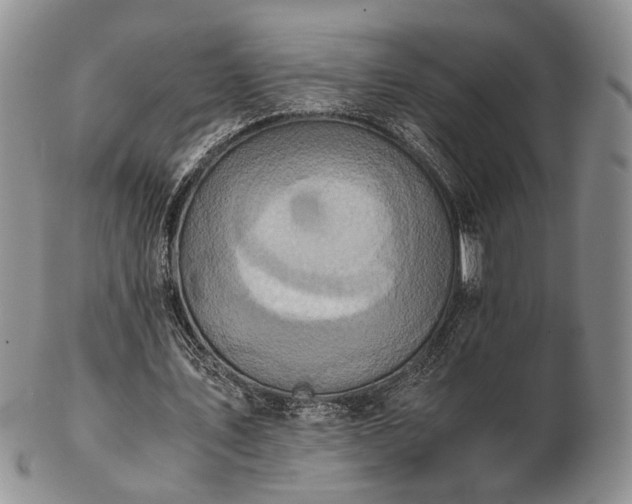 X0000103140579200808221218