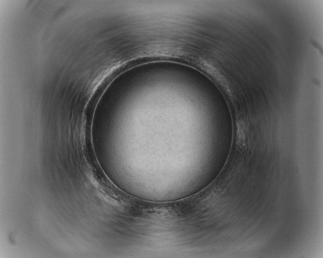 X0000103140580200808221218