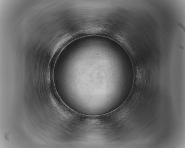 X0000103140582200808221218