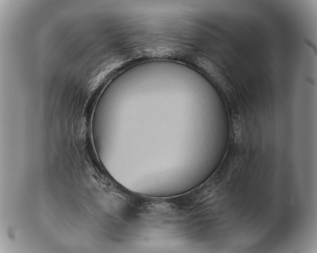 X0000103140583200808221218