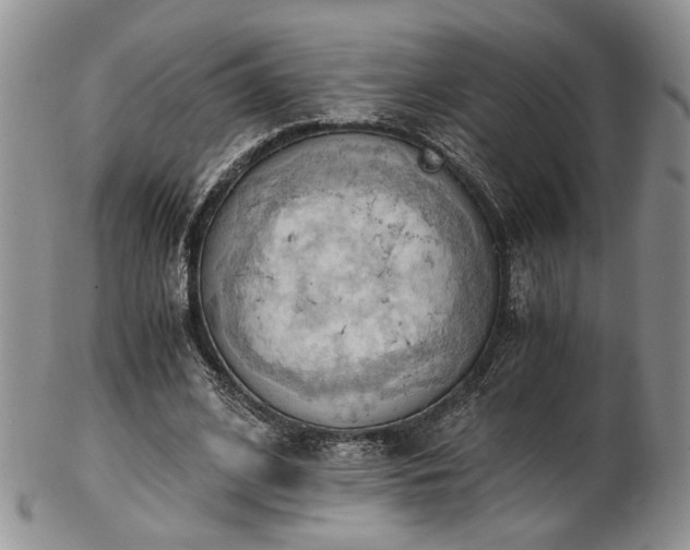 X0000103140584200808221218