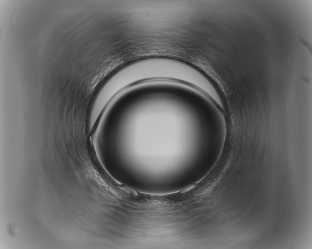 X0000103140585200808221218