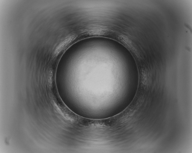 X0000103140586200808221218