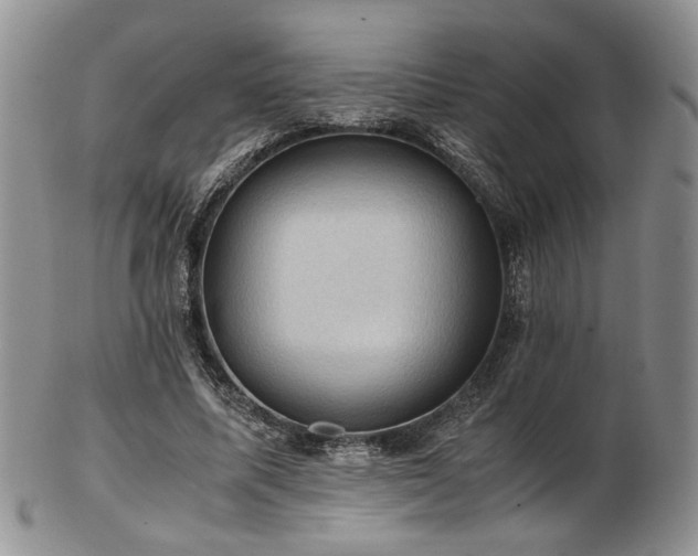 X0000103140587200808221218