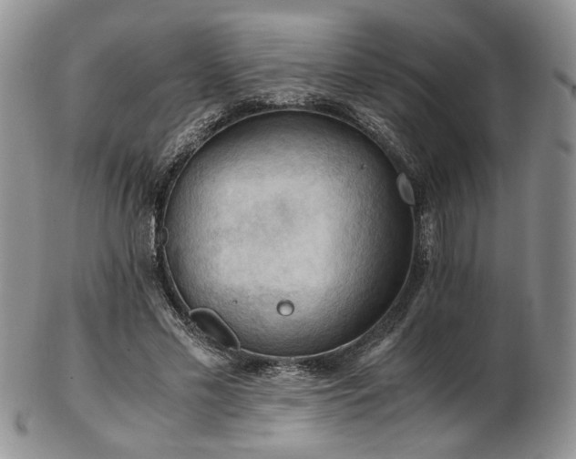 X0000103140589200808221218