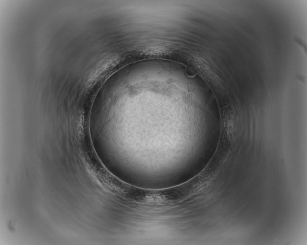 X0000103140591200808221218