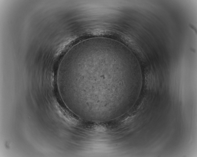 X0000103140592200808221218