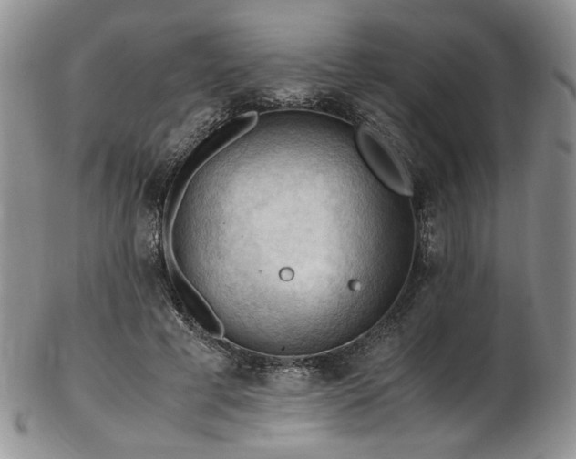 X0000103140593200808221218