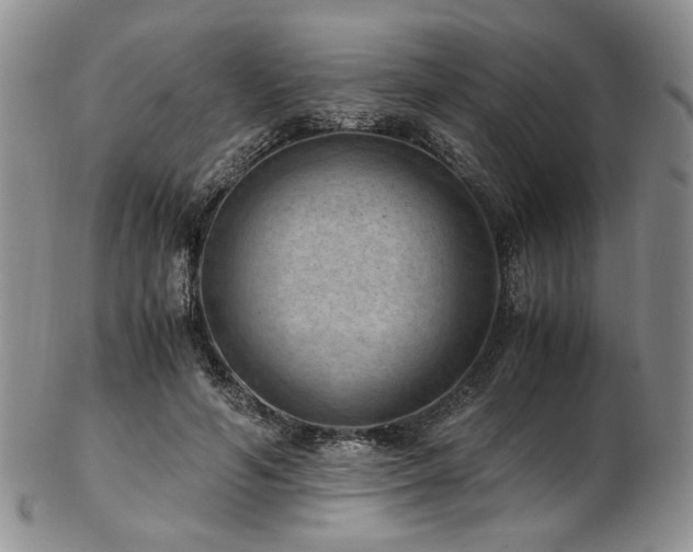 X0000103140594200808221218