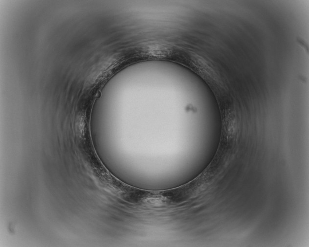 X0000103140595200808221218