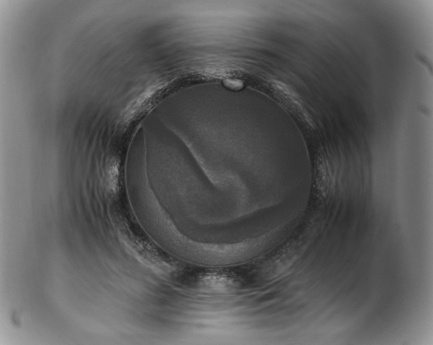 X0000103140596200808221218