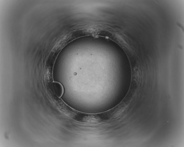 X0000103140597200808221218