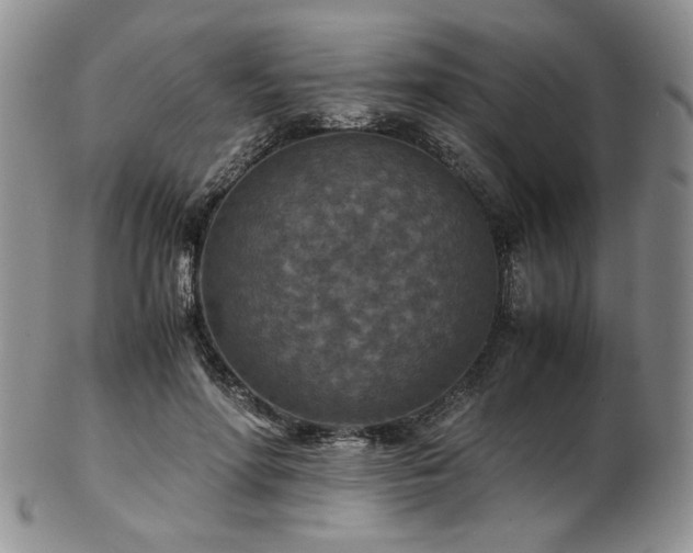 X0000103140598200808221218