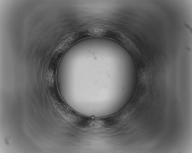 X0000103140599200808221218