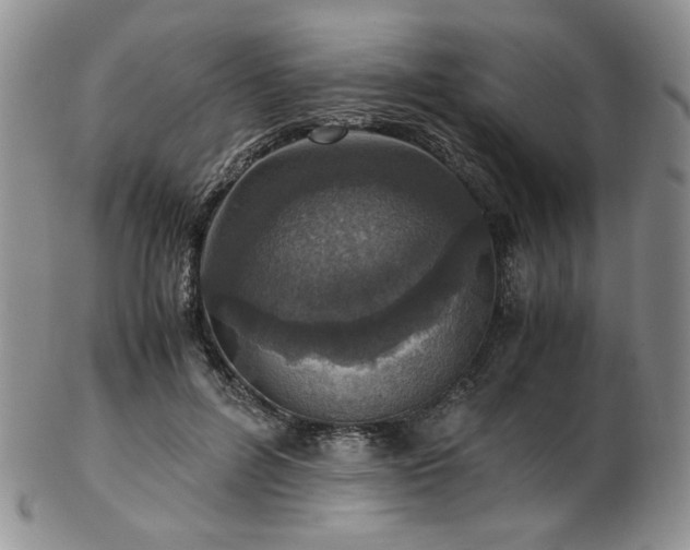 X0000103140600200808221218