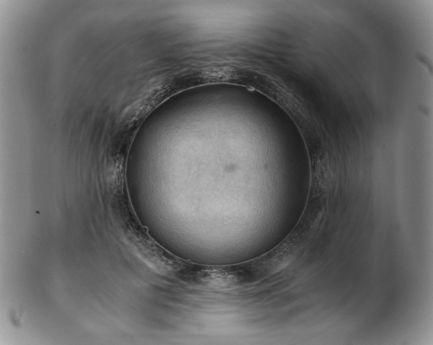 X0000103140601200808221218