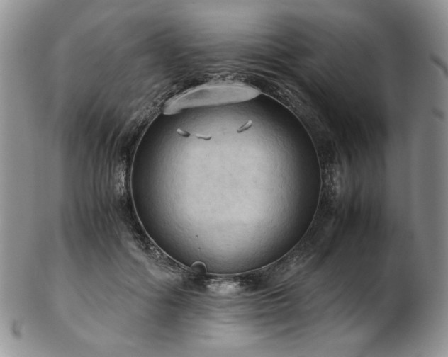 X0000103140602200808221218