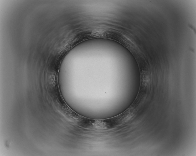 X0000103140603200808221218