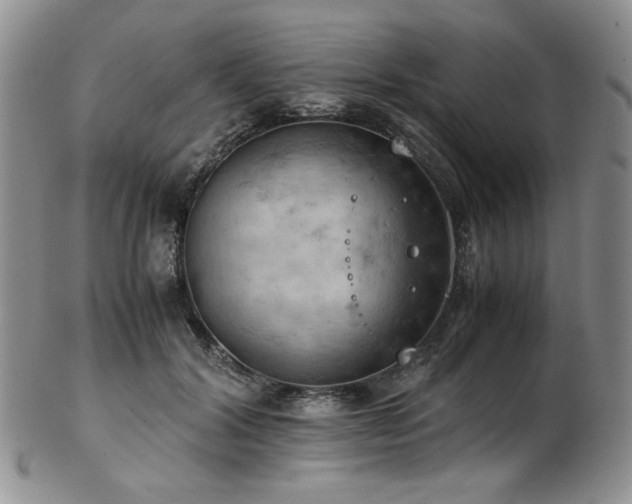 X0000103140604200808221218