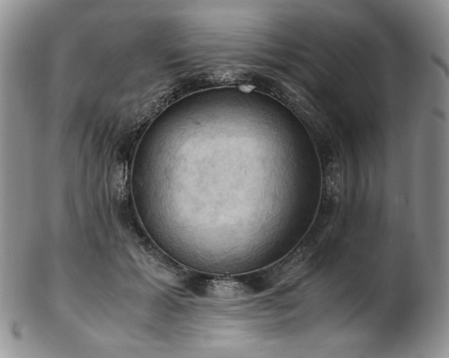 X0000103140605200808221218