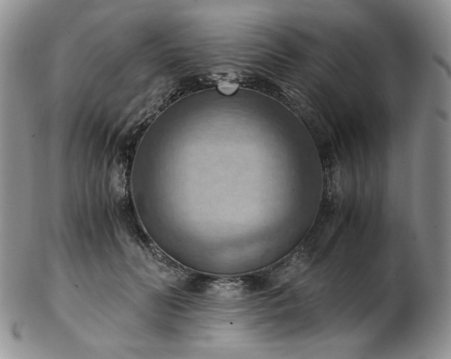 X0000103140606200808221218