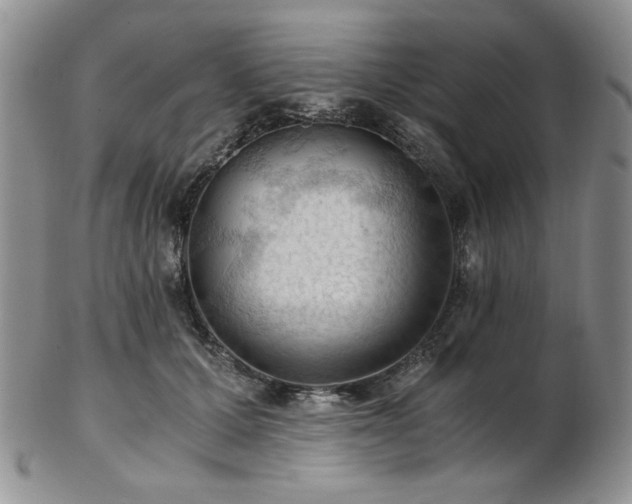 X0000103140607200808221218