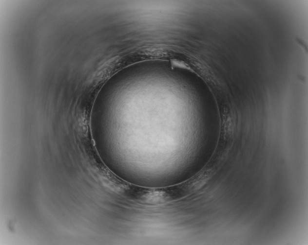 X0000103140609200808221217