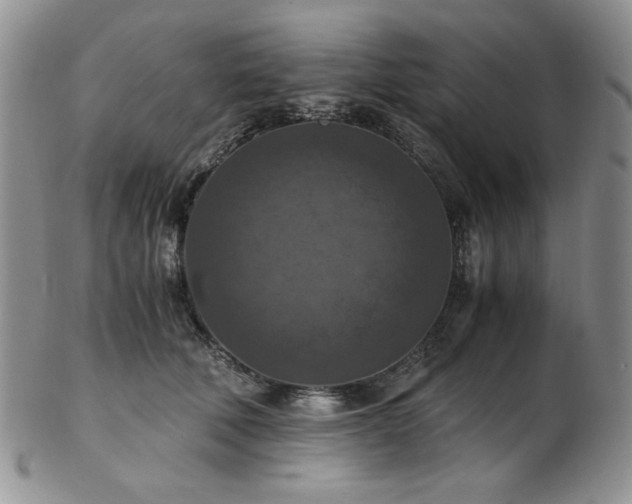 X0000103140610200808221217