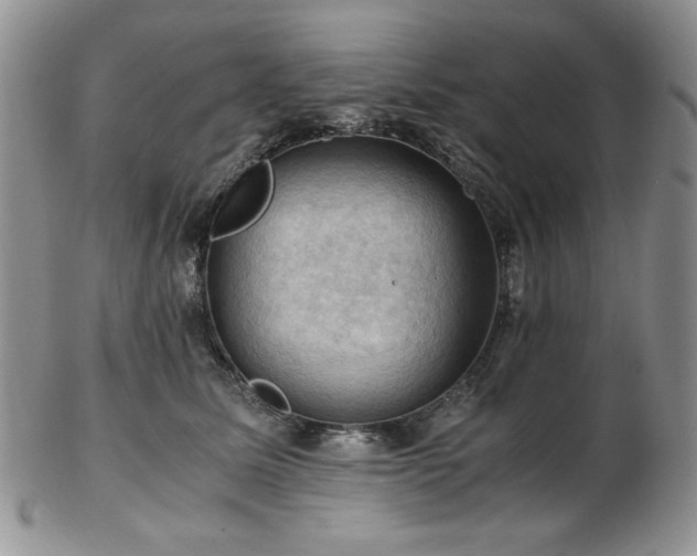 X0000103140611200808221217