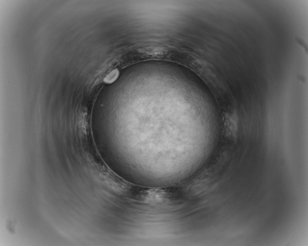 X0000103140612200808221217