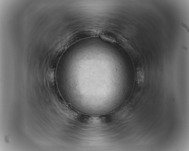 X0000103140613200808221217