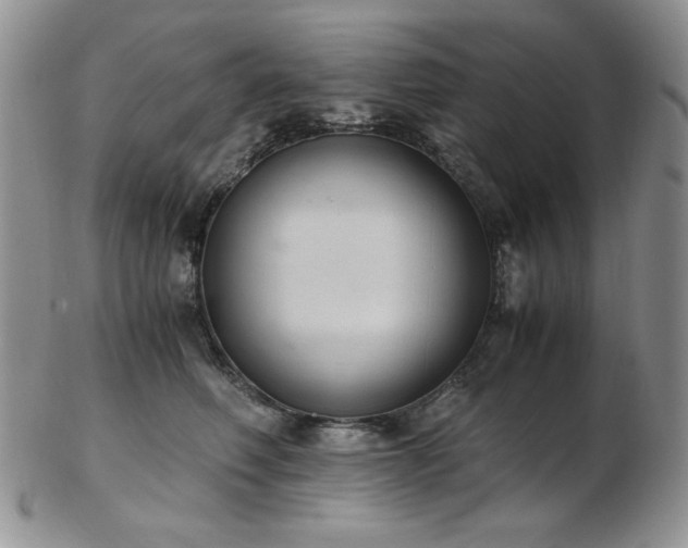 X0000103140614200808221217