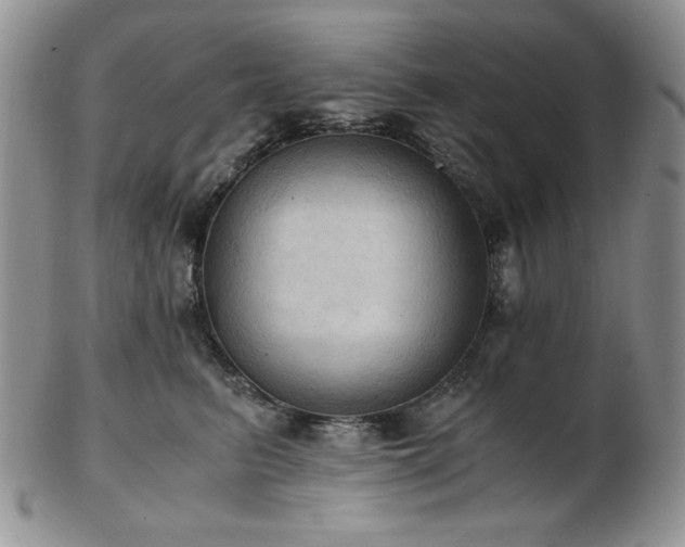 X0000103140615200808221217