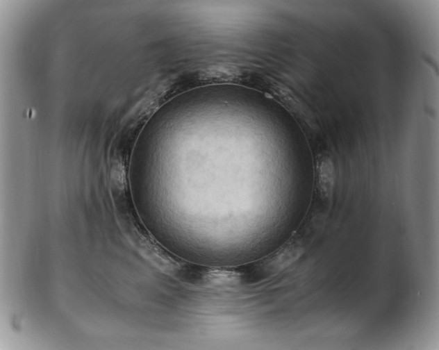 X0000103140617200808221217