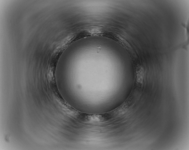 X0000103140618200808221217