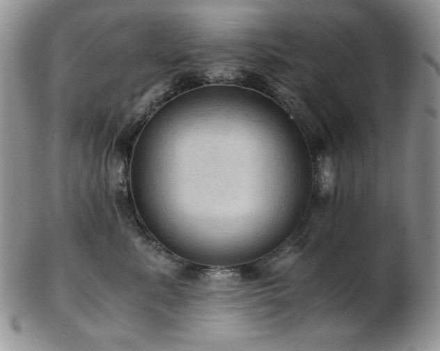 X0000103140619200808221217