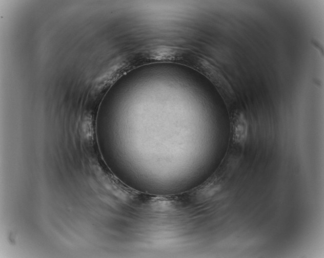 X0000103140620200808221217